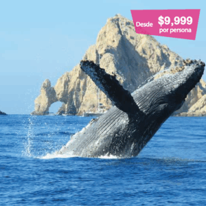 Los Cabos - mayo