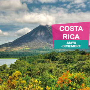 Costa Rica - Puente de mayo