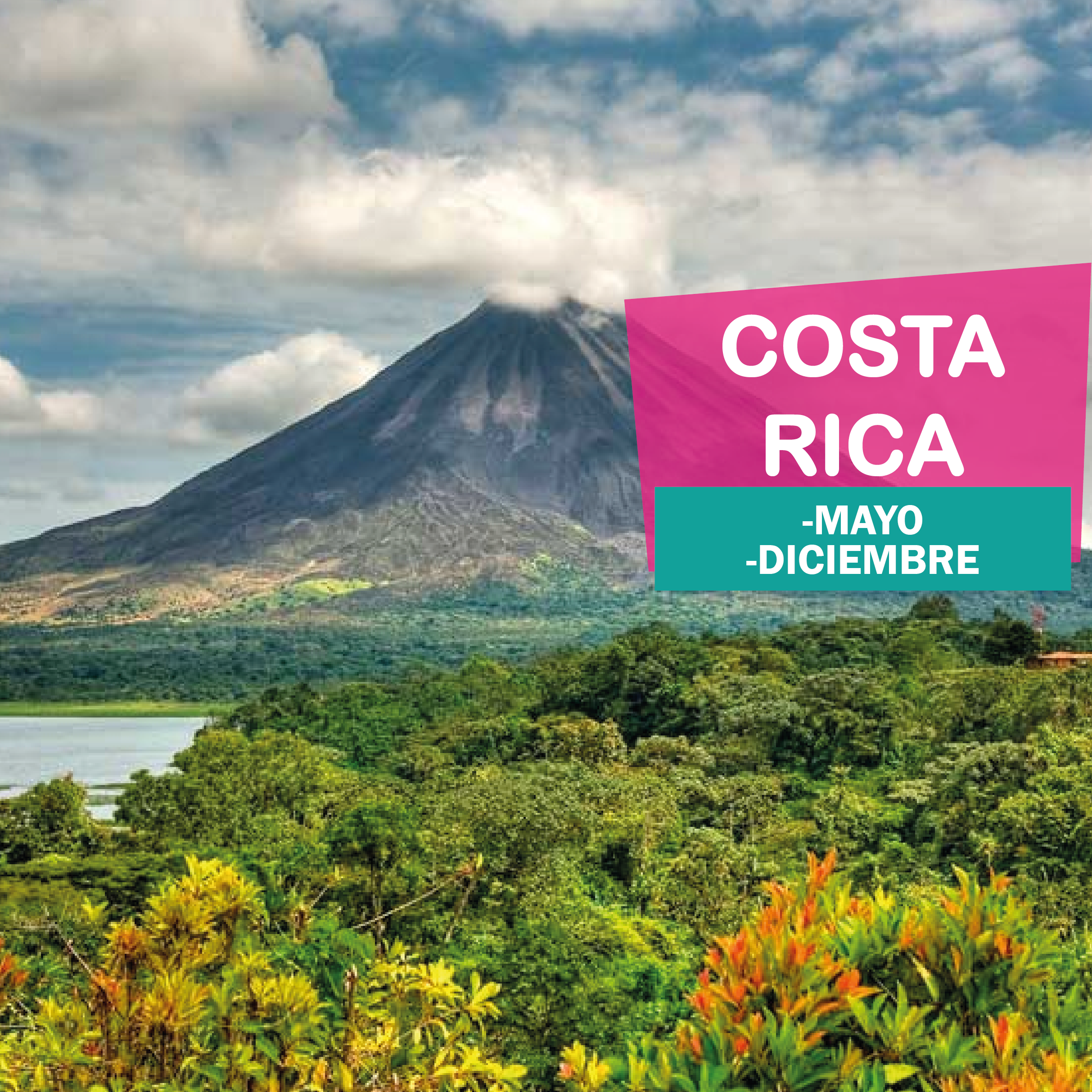 Costa Rica - Puente de mayo
